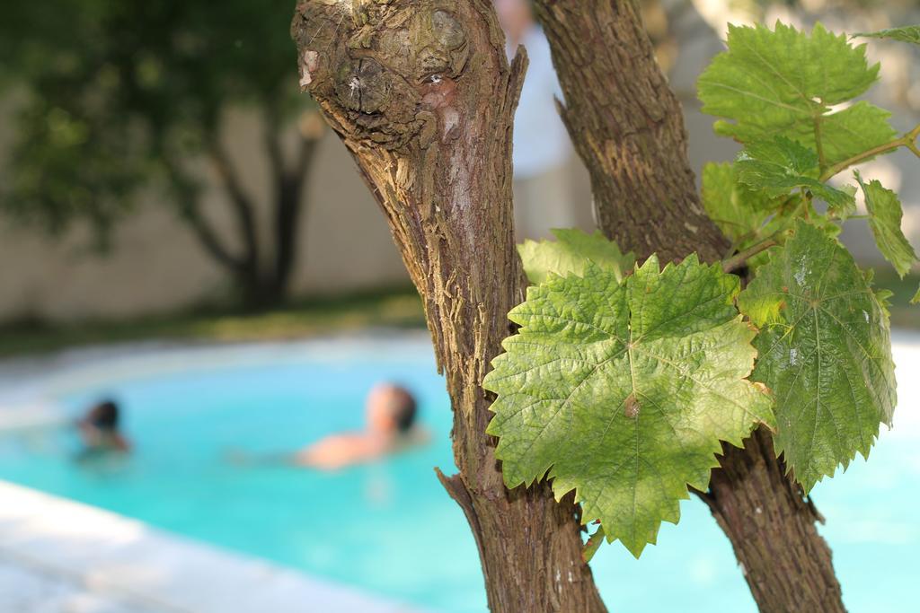B&B Villa Romina San Cataldo  Extérieur photo